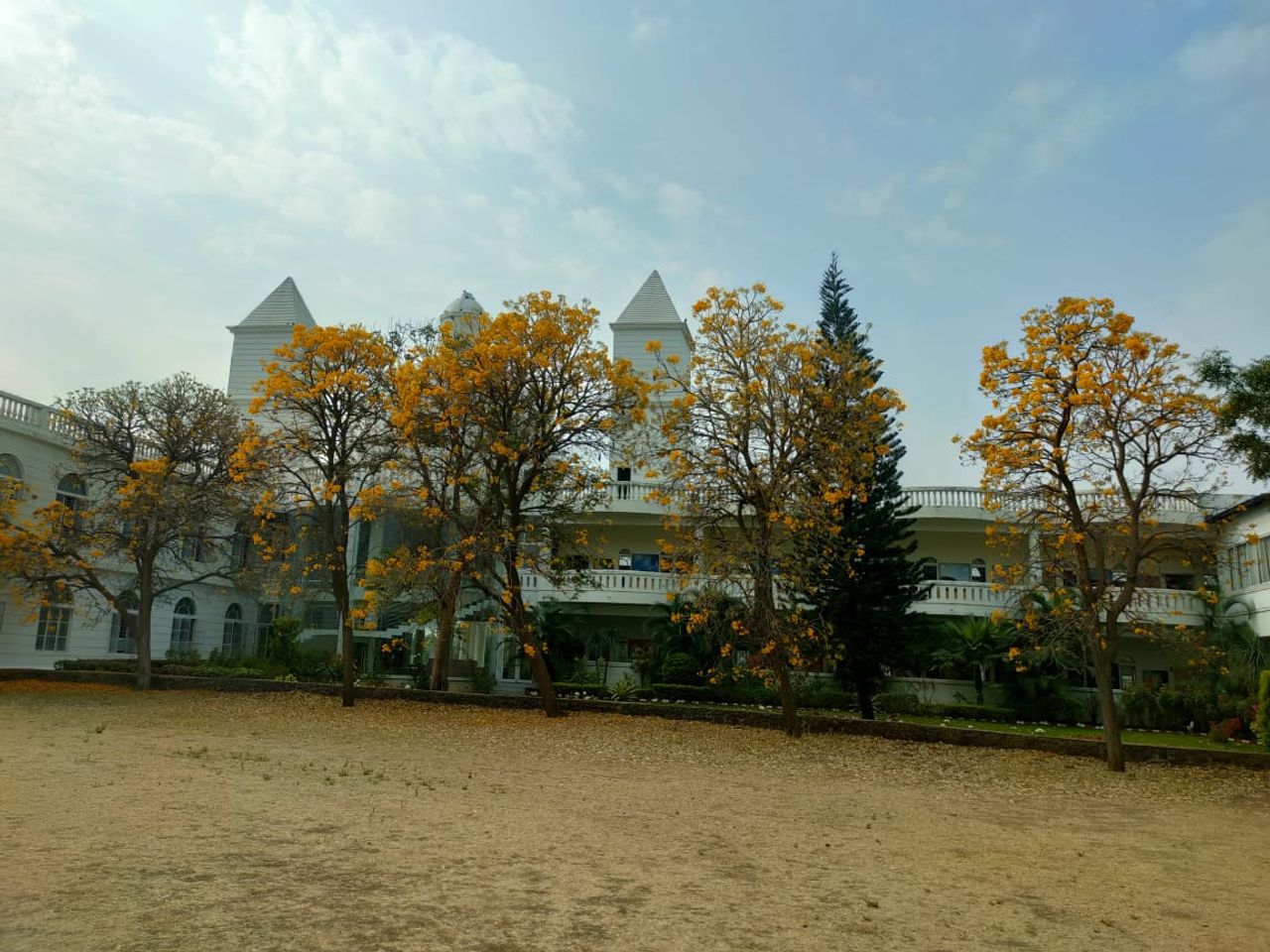 school image3